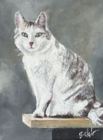 /album/creations-gilbert-clair/3-chat-rony-de-christiane-avril-2026-jpg/